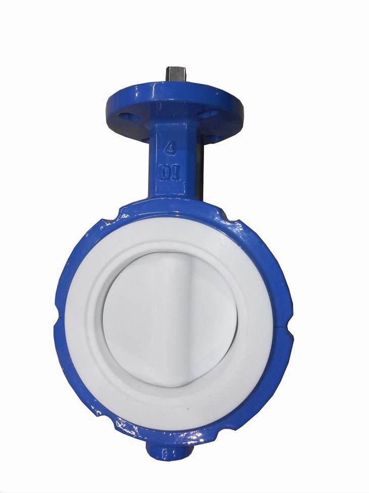 Split lug butterfly valve5(001)